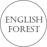 English Forest イングリッシュフォレスト